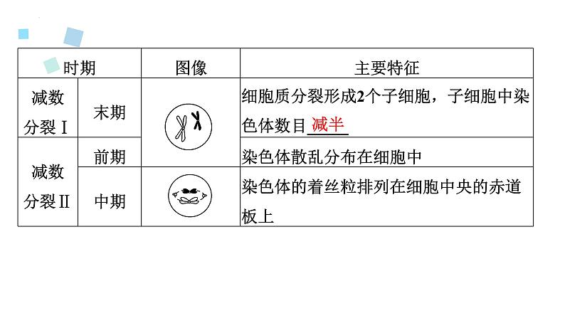 2023届高三生物一轮复习12讲　减数分裂与受精作用课件07