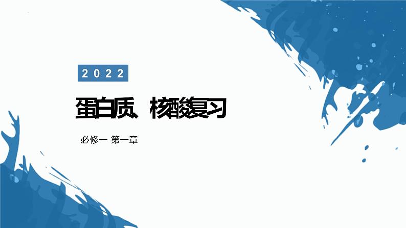 2023届高三生物一轮复习课件：蛋白质核酸 复习第1页