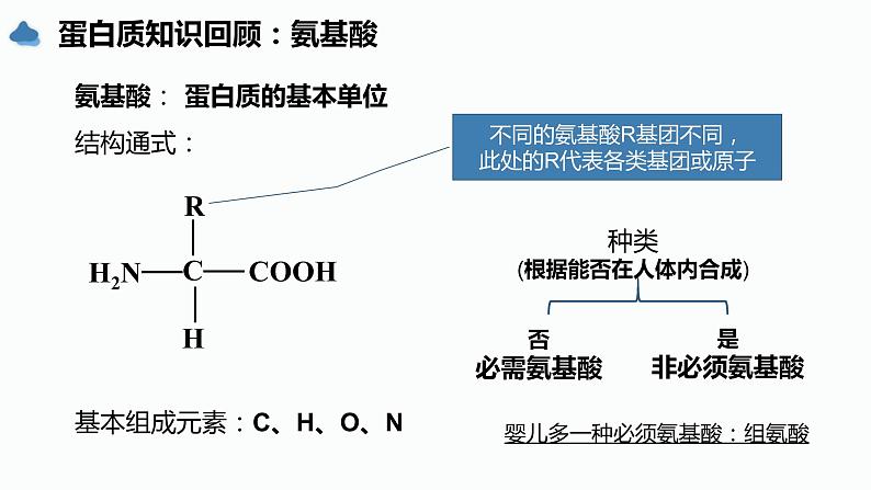 2023届高三生物一轮复习课件：蛋白质核酸 复习第2页