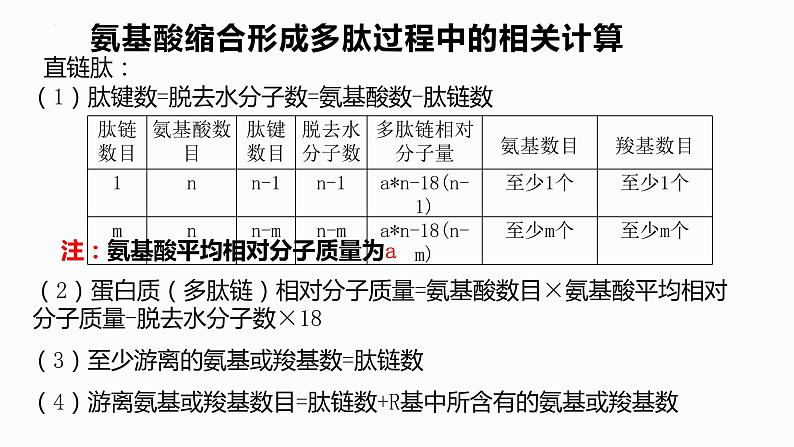 2023届高三生物一轮复习课件：蛋白质核酸 复习第8页