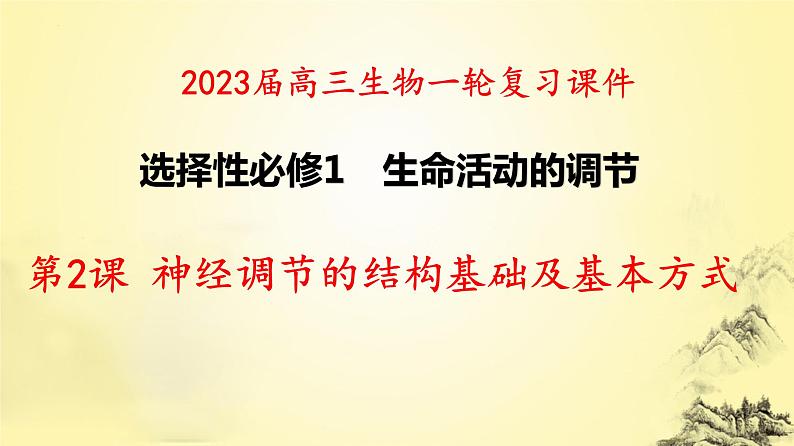 2023届高三生物一轮复习课件：神经调节的结构基础及基本方式第1页