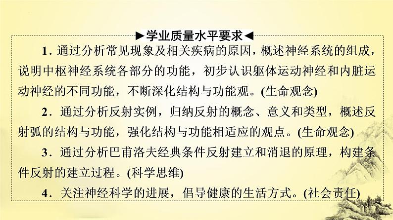 2023届高三生物一轮复习课件：神经调节的结构基础及基本方式第2页