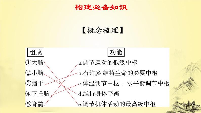 2023届高三生物一轮复习课件：神经调节的结构基础及基本方式第3页