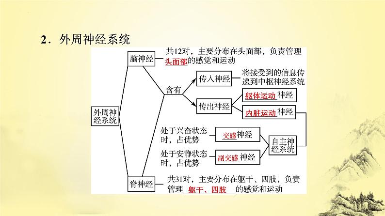 2023届高三生物一轮复习课件：神经调节的结构基础及基本方式第4页