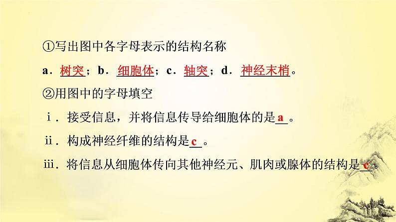 2023届高三生物一轮复习课件：神经调节的结构基础及基本方式第6页