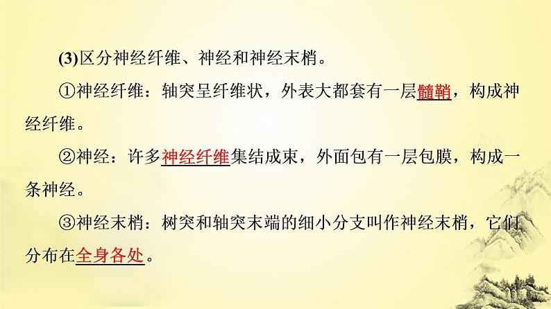 2023届高三生物一轮复习课件：神经调节的结构基础及基本方式第7页