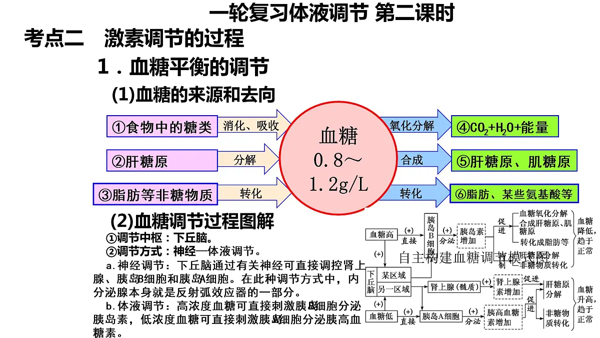 2023届高三生物一轮复习课件：体液调节第2页