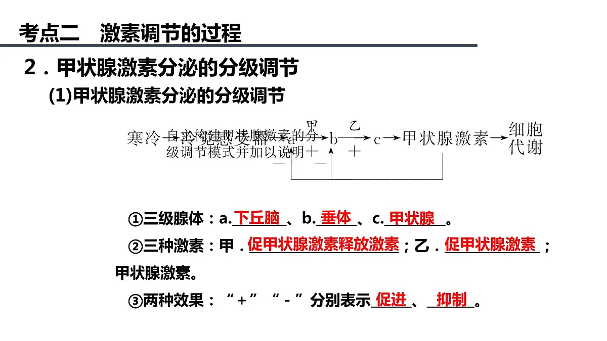 2023届高三生物一轮复习课件：体液调节第8页