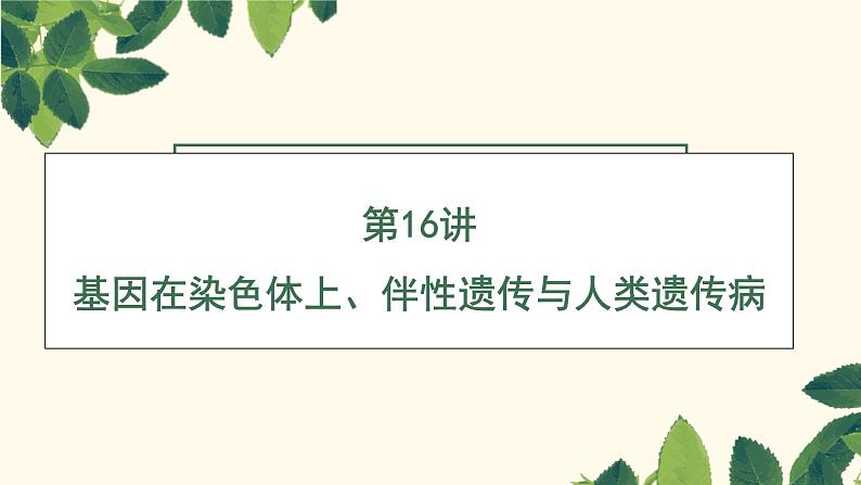 2023届高三新高考一轮复习16讲　基因在染色体上、伴性遗传与人类遗传病第1页