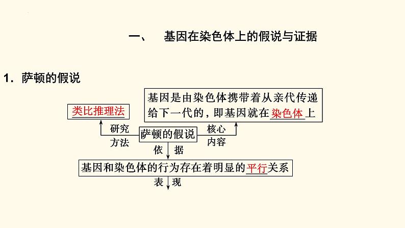 2023届高三新高考一轮复习16讲　基因在染色体上、伴性遗传与人类遗传病第3页