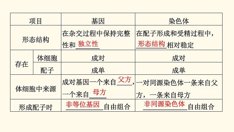 2023届高三新高考一轮复习16讲　基因在染色体上、伴性遗传与人类遗传病第4页