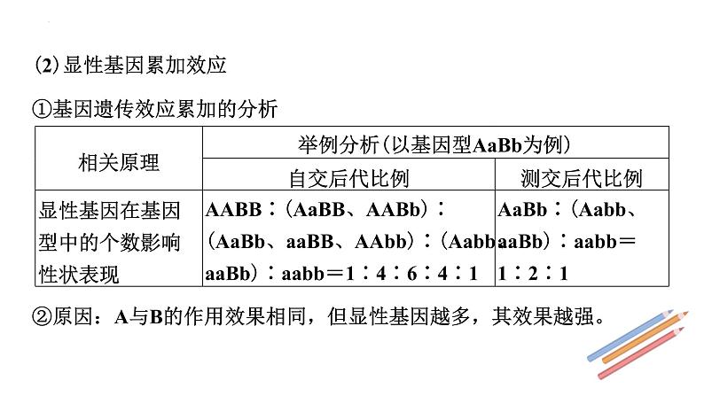 2023届高三新高考一轮复习小专题　 自由组合定律的拓展应用第7页