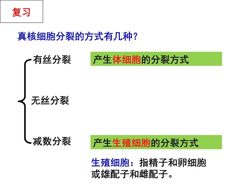 2023届高三一轮复习课件-专题总结 减数分裂异常与可遗传变异第5页