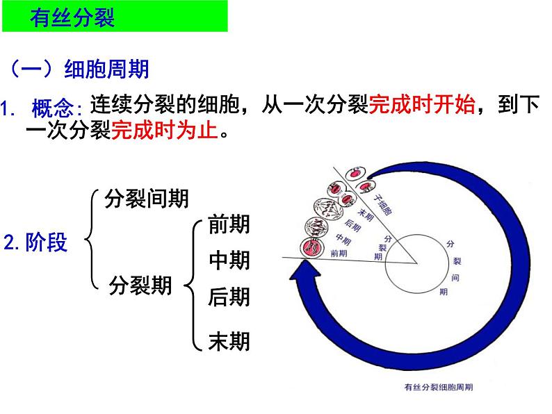 2023届高三一轮复习课件-专题总结 减数分裂异常与可遗传变异第6页