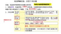 2023届高三一轮复习生物：伴性遗传课件