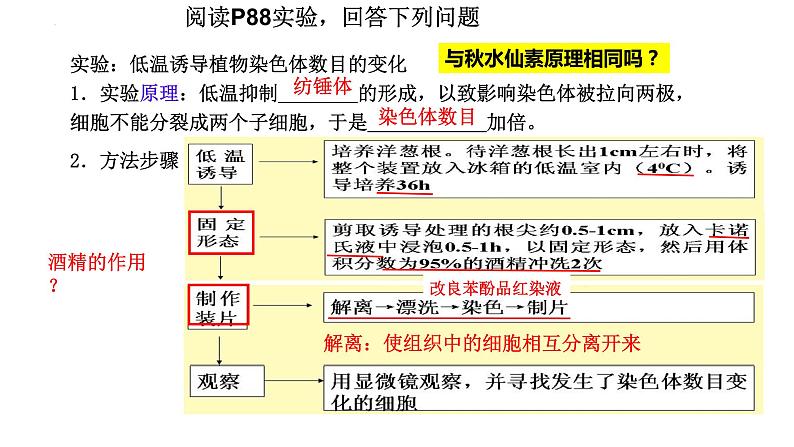 2023届高三一轮复习生物：伴性遗传课件第1页