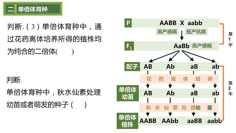 2023届高三一轮复习生物：伴性遗传课件第7页