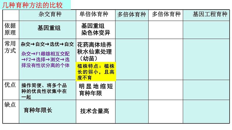 2023届高三一轮复习生物：伴性遗传课件第8页