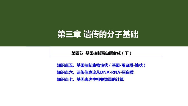 2023届高三一轮复习生物：3.4 基因控制蛋白质合成（中心法则）课件01