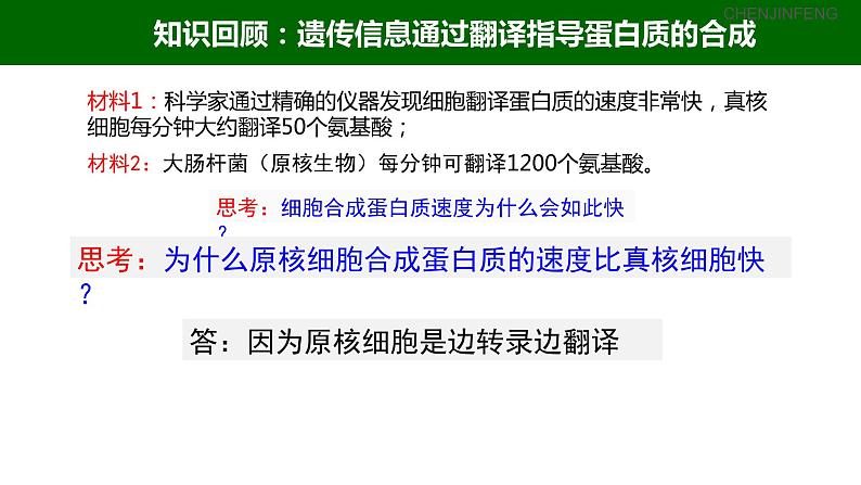 2023届高三一轮复习生物：3.4 基因控制蛋白质合成（中心法则）课件04