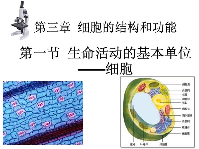 2023届高三一轮复习生物：3.1生命活动的基本单位-细胞课件第1页