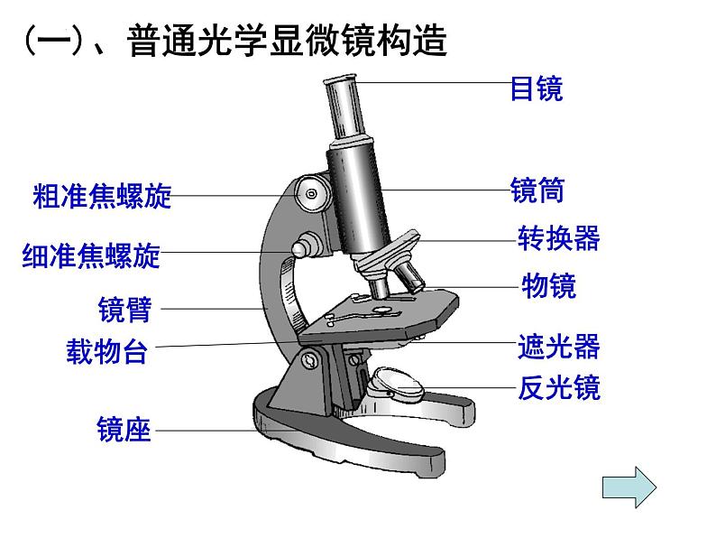 2023届高三一轮复习生物：3.1生命活动的基本单位-细胞课件第8页