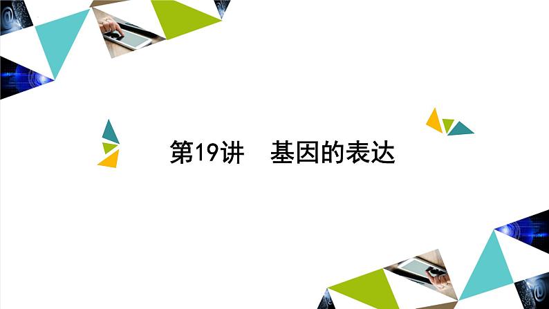 2023届高三一轮复习生物：第19讲　基因的表达课件第1页