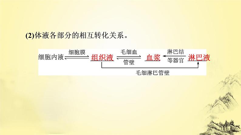 2023届高三一轮复习生物：人体的内环境与稳态课件第4页