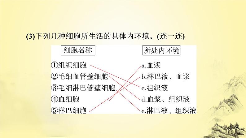 2023届高三一轮复习生物：人体的内环境与稳态课件第5页