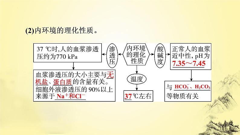 2023届高三一轮复习生物：人体的内环境与稳态课件第7页