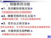 2023届高三一轮复习生物：细胞核课件