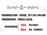 光合作用的原理 课件