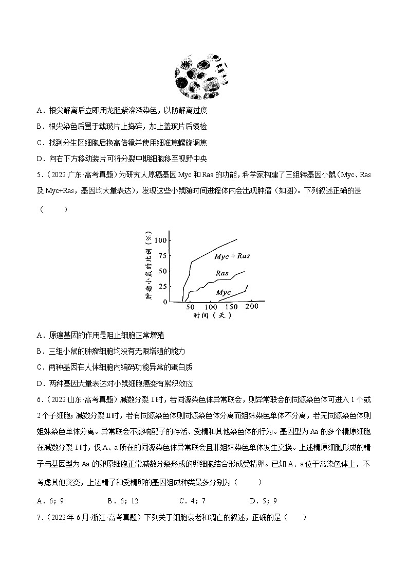 【三年高考真题】最新三年生物高考真题分项汇编——专题04《细胞的生命历程（包括减数分裂）》（2023新高考地区专用）02
