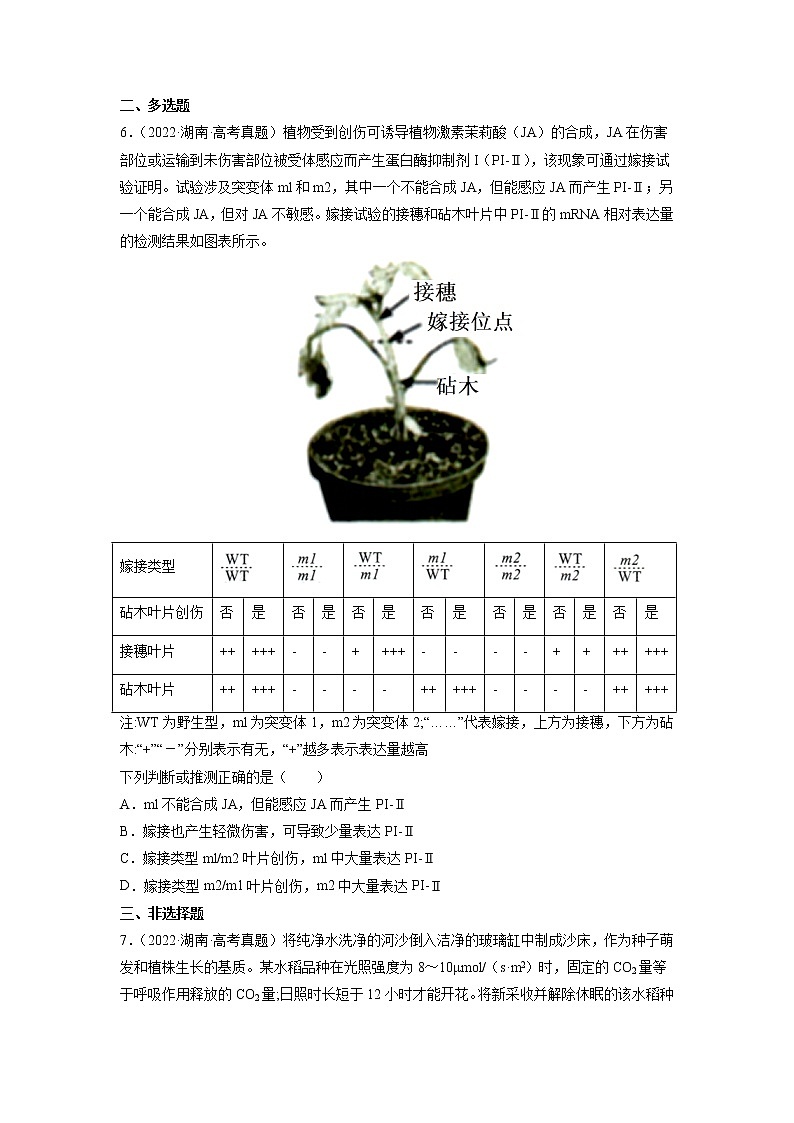 【2020-2022高考真题】最新三年高考生物真题汇编——专题10《植物生命活动的调节》（新高考地区专用）（原卷版）第2页