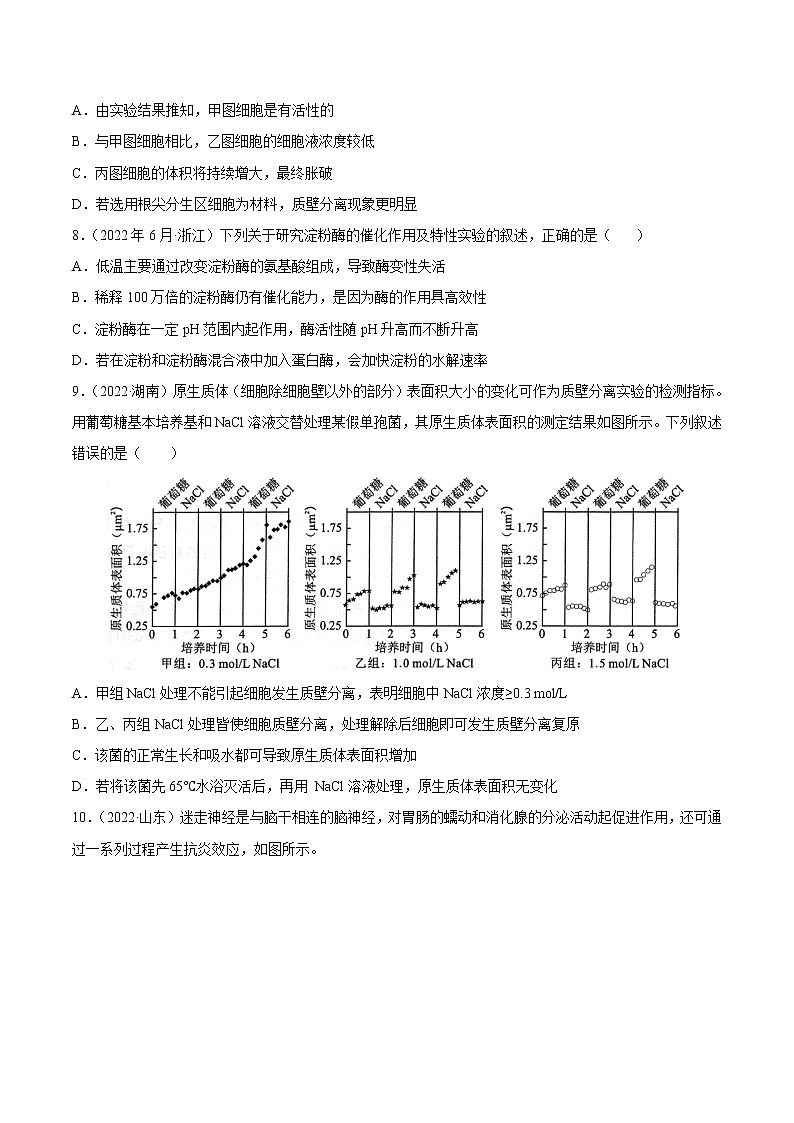 【三年高考真题】最新三年生物高考真题分项汇编——专题15《实验与探究》（2023新高考地区专用）03