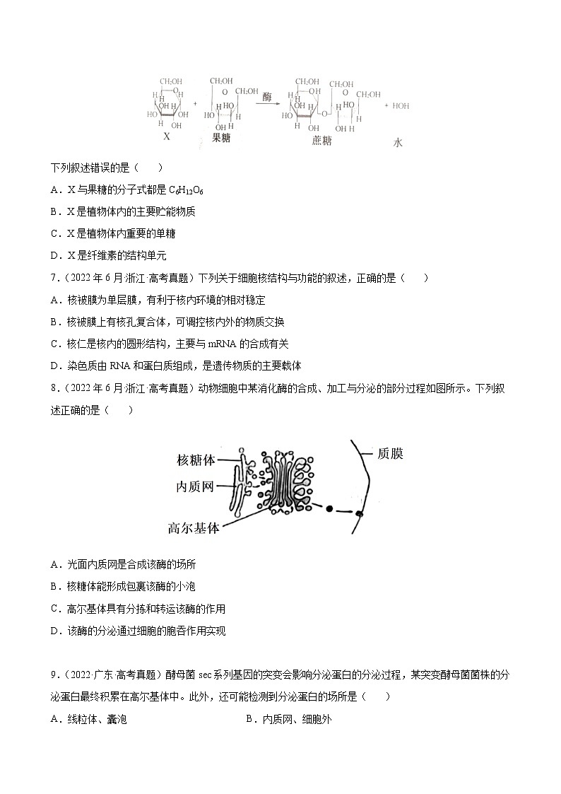 【2018-2022高考真题】高考生物五年真题汇编——专题01《细胞的分子组成以及结构和功能》（原卷版）（全国卷地区通用）第2页