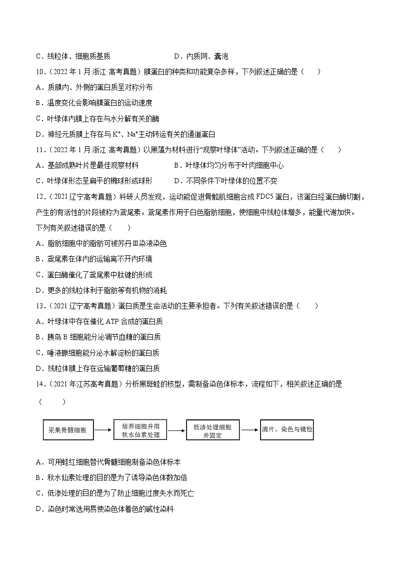【2018-2022高考真题】高考生物五年真题汇编——专题01《细胞的分子组成以及结构和功能》（原卷版）（全国卷地区通用）第3页