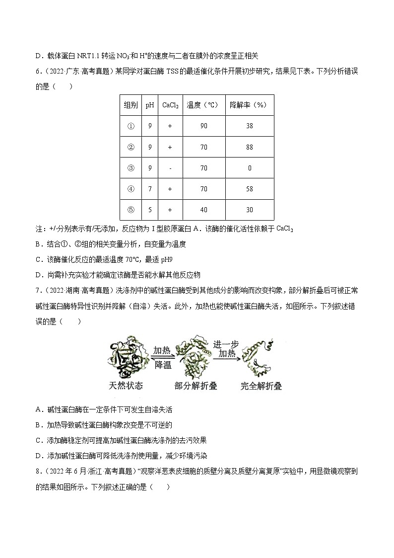 【五年高考真题】最新五年生物高考真题分项汇编——专题02《细胞的物质运输、酶与ATP》（2023全国卷地区通用）03