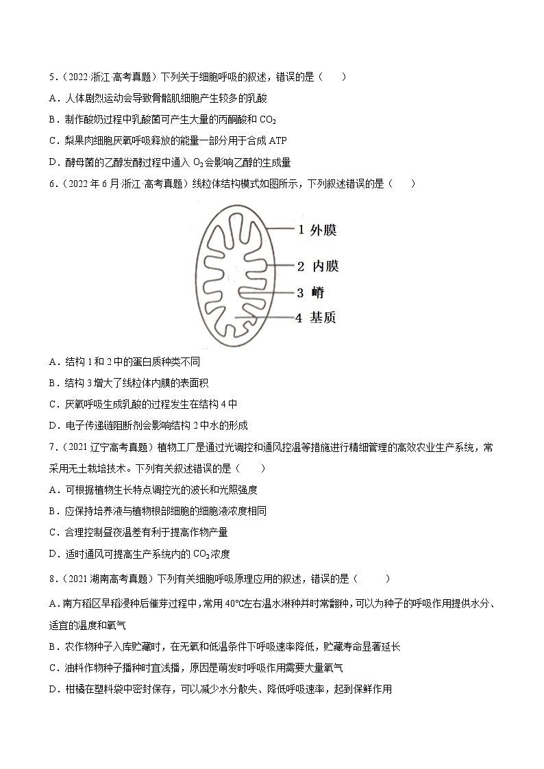 【2018-2022高考真题】高考生物五年真题汇编——专题03《光合作用和细胞呼吸》（原卷版）（全国卷地区通用）第2页