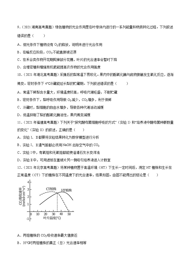 【2018-2022高考真题】高考生物五年真题汇编——专题03《光合作用和细胞呼吸》（原卷版）（全国卷地区通用）第3页