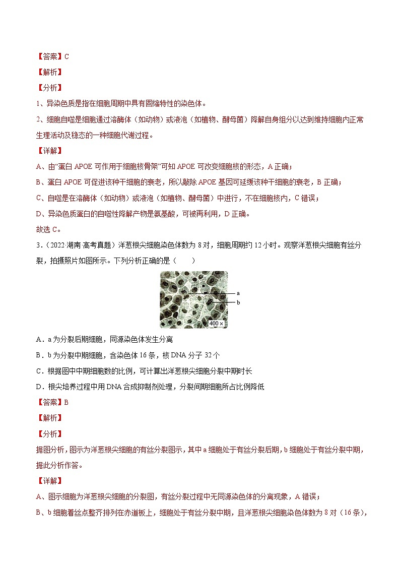 【2018-2022高考真题】高考生物五年真题汇编——专题04《细胞的生命历程（包括减数分裂）》（解析版）（全国卷地区通用）第2页