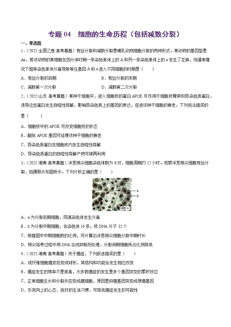 【2018-2022高考真题】高考生物五年真题汇编——专题04《细胞的生命历程（包括减数分裂）》（原卷版）（全国卷地区通用）第1页