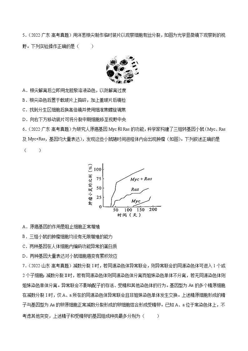 【2018-2022高考真题】高考生物五年真题汇编——专题04《细胞的生命历程（包括减数分裂）》（原卷版）（全国卷地区通用）第2页