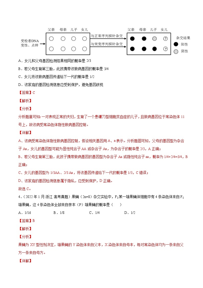 【五年高考真题】最新五年生物高考真题分项汇编——专题07《伴性遗传和人类遗传病》（2023全国卷地区通用）03