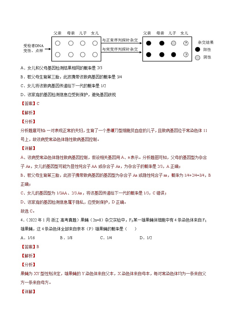 【五年高考真题】最新五年生物高考真题分项汇编——专题07《伴性遗传和人类遗传病》（2023全国卷地区通用）03
