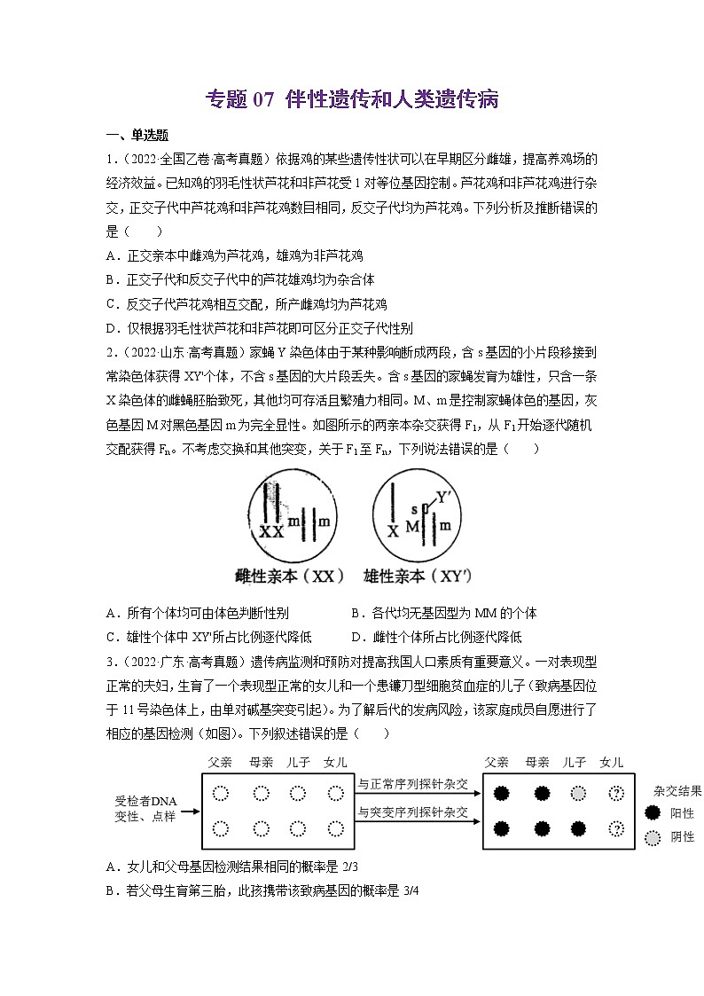 【五年高考真题】最新五年生物高考真题分项汇编——专题07《伴性遗传和人类遗传病》（2023全国卷地区通用）01