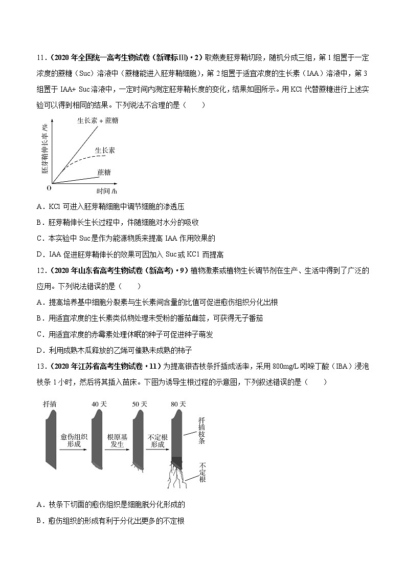 【五年高考真题】最新五年生物高考真题分项汇编——专题10《植物生命活动的调节》（2023全国卷地区通用）03