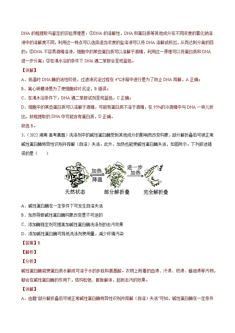 【五年高考真题】最新五年生物高考真题分项汇编——专题13《发酵工程》（2023全国卷地区通用）02