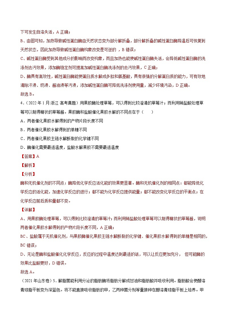 【五年高考真题】最新五年生物高考真题分项汇编——专题13《发酵工程》（2023全国卷地区通用）03