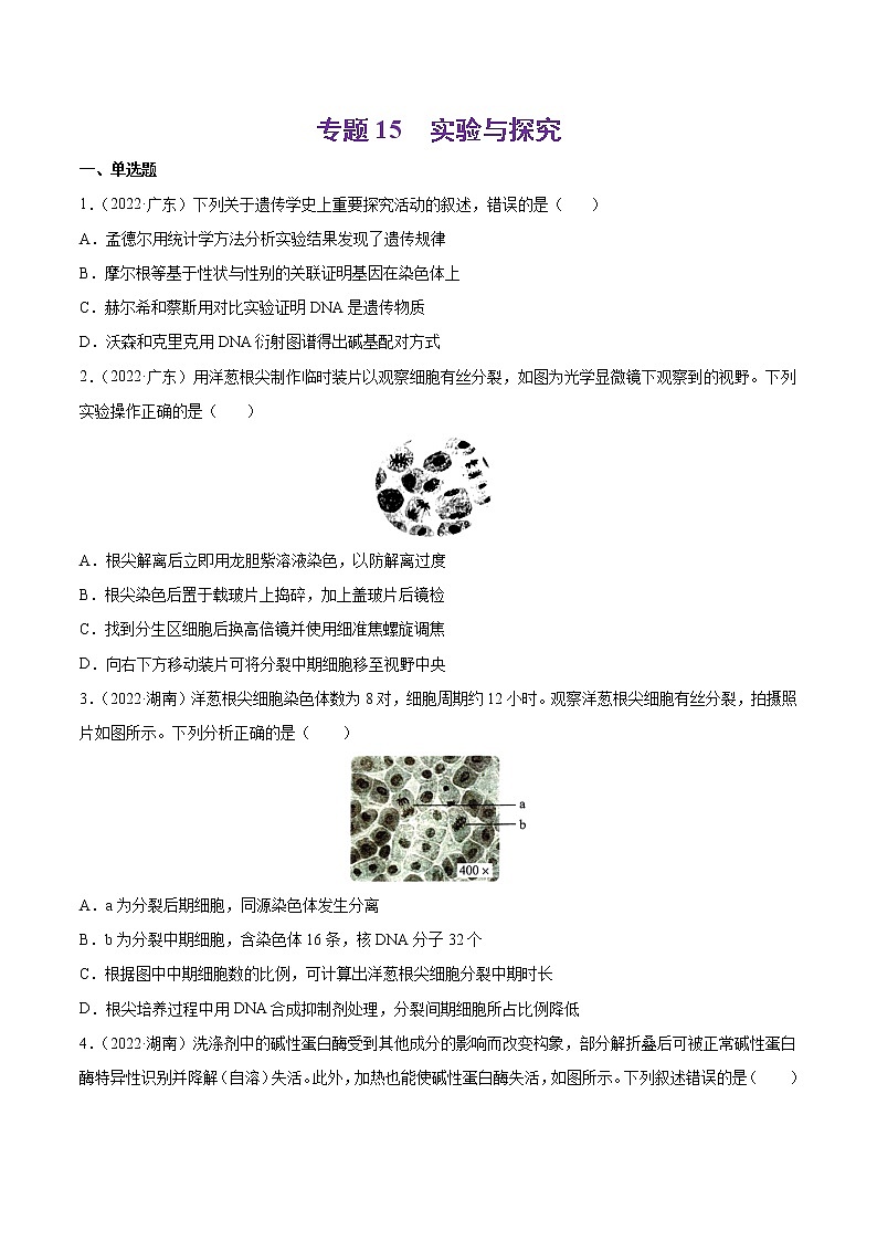 【2018-2022高考真题】高考生物五年真题汇编——专题15《实验与探究》（原卷版）（全国卷地区通用）第1页